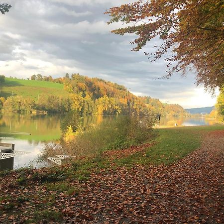 Charming Studio Near Rotsee Lucerne Kitchen/Wifi/Wasching Machine Luaran gambar