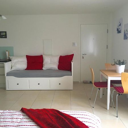 Charming Studio Near Rotsee Lucerne Kitchen/Wifi/Wasching Machine Luaran gambar