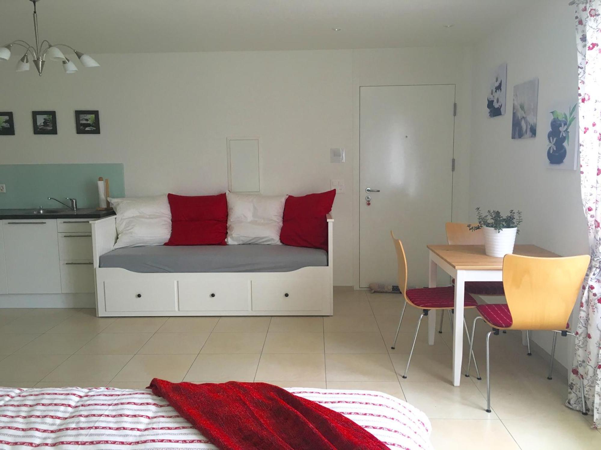 Charming Studio Near Rotsee Lucerne Kitchen/Wifi/Wasching Machine Luaran gambar